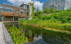 Flooring and Biophilic Design