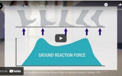 Rejuvenations Restore: The Perfect Balance