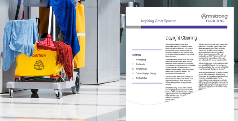 Daylight Cleaning 