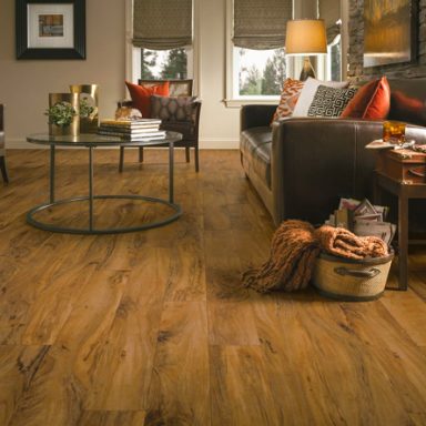 flooring ideas for the living room