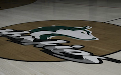 Premium Excelon Feature Tile & Strip