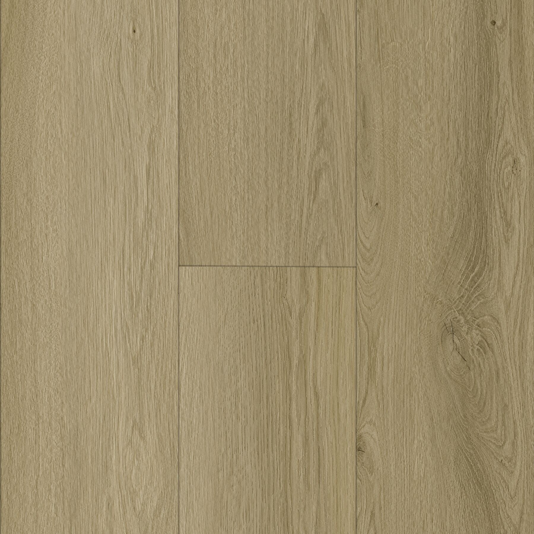 Homeland Heritage Maverick Tan Rigid Core 1UP77007