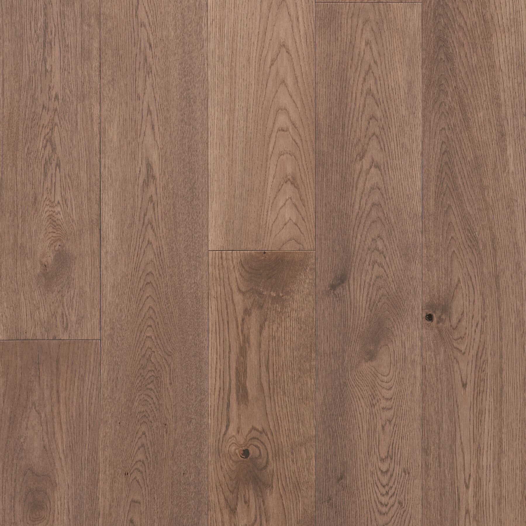 Wanderer's Way Visionary Taupe Hardwood SRL5-K48S