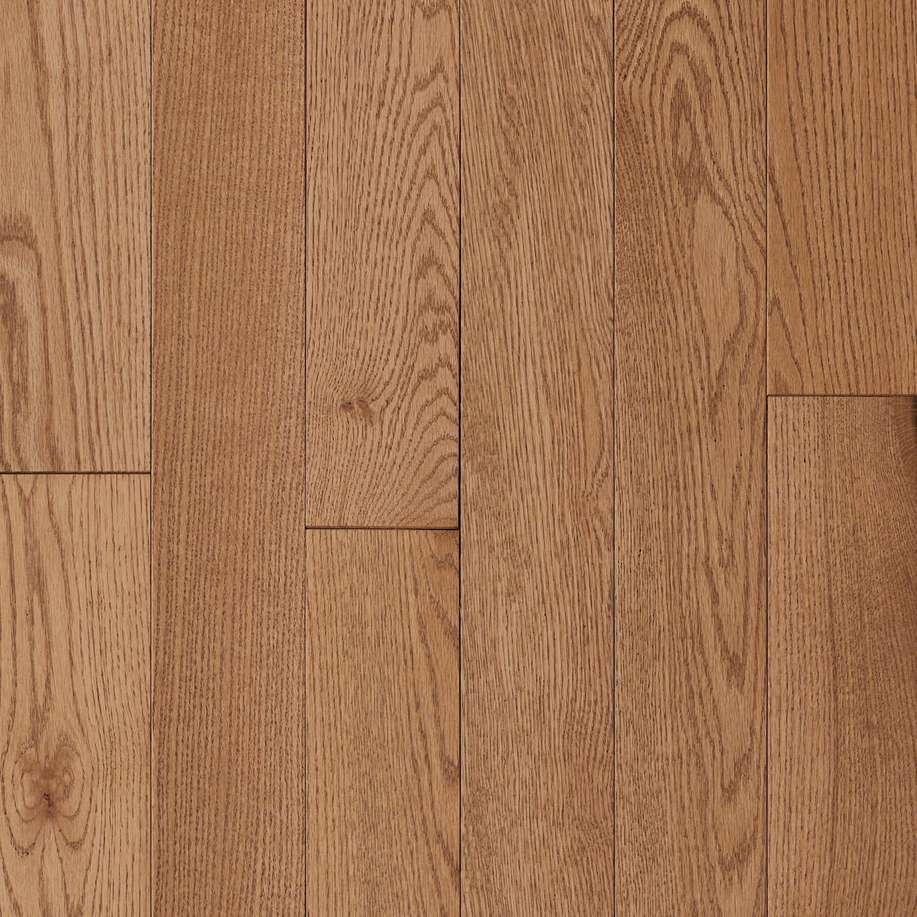 Spirited Trail Understated Beauty Hardwood LM21K-474S