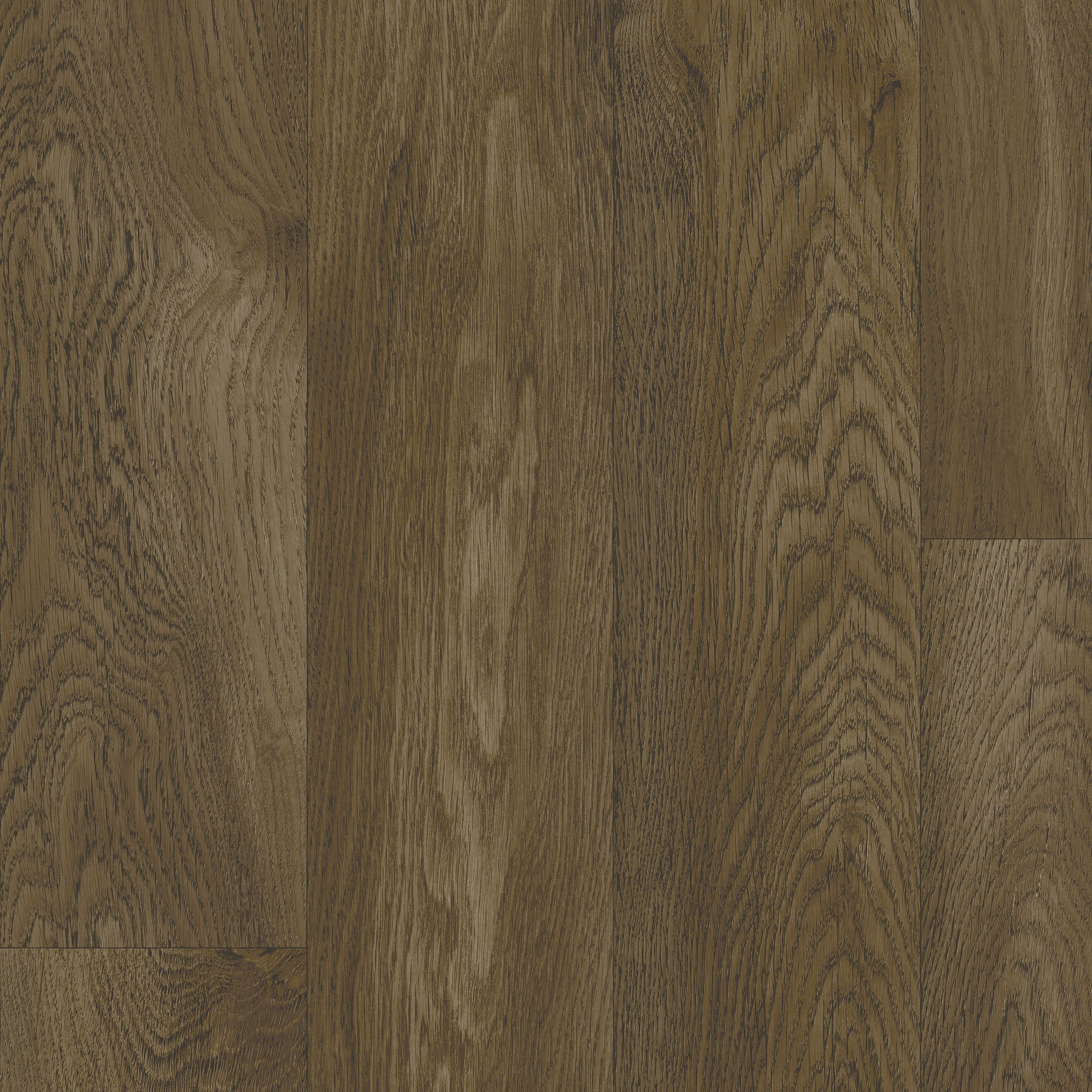 Rejuvenations Classics Acadian Oak Well Versed