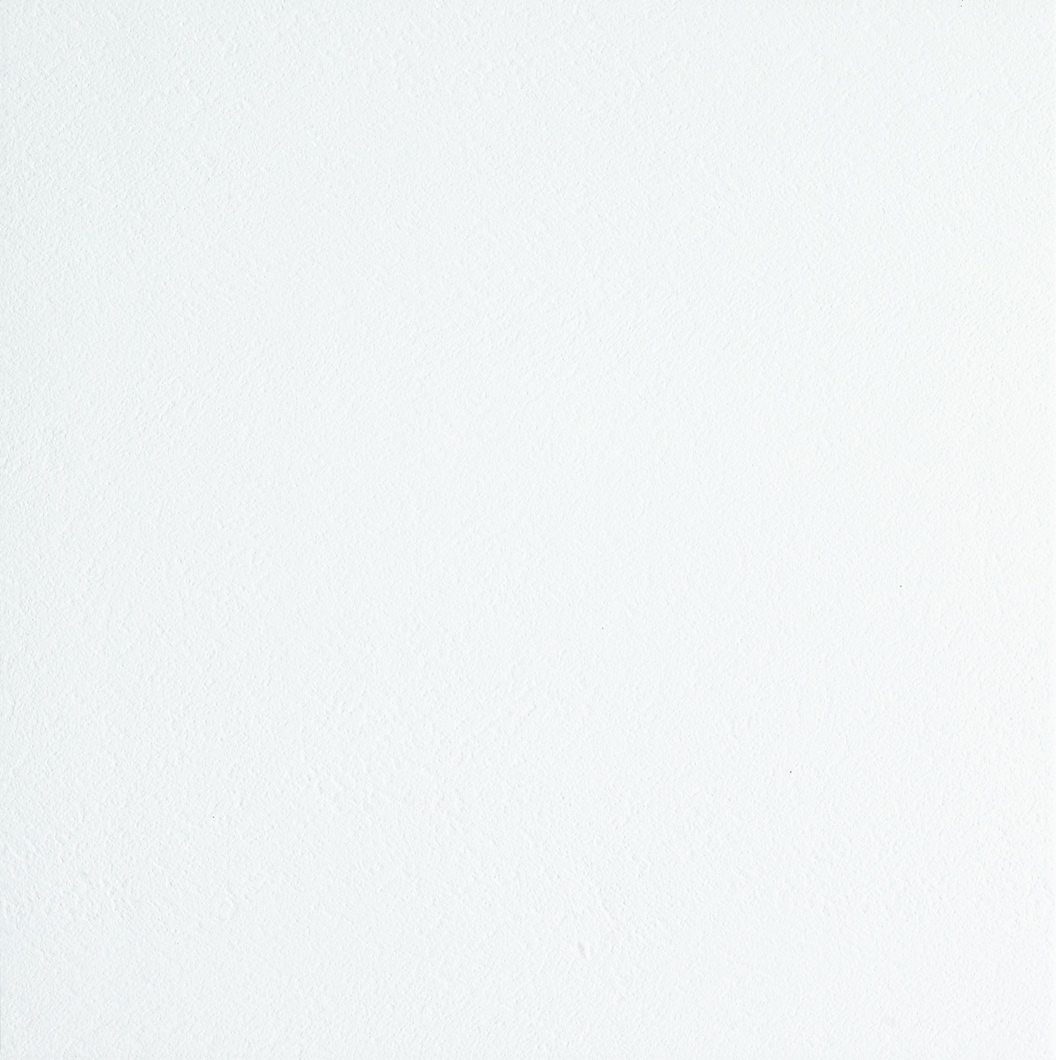 D4100